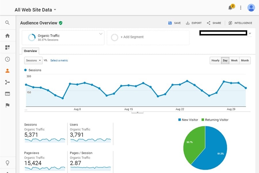 women shopping webste project adwords result case study details image